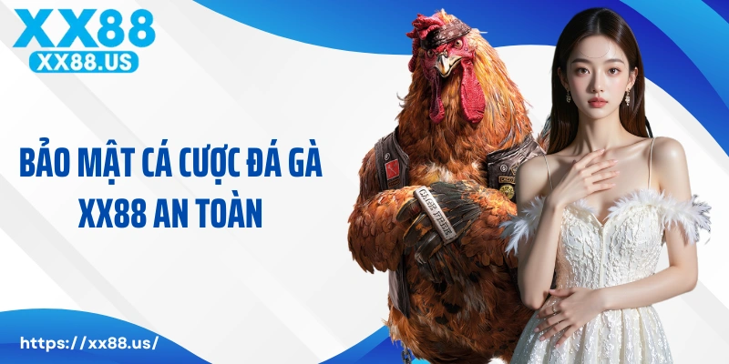 Bảo mật cá cược đá gà XX88 an toàn