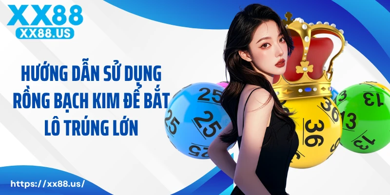 Hướng Dẫn Sử Dụng Rồng Bạch Kim Để Bắt Lô Trúng Lớn